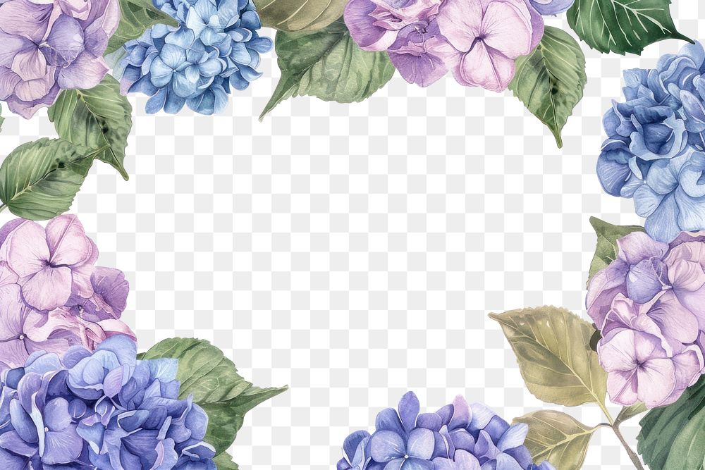 PNG Hydrangea frame watercolor backgrounds pattern flower