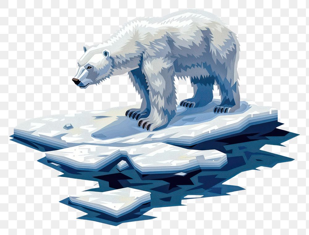 PNG Polar bear on ice wildlife mammal white.