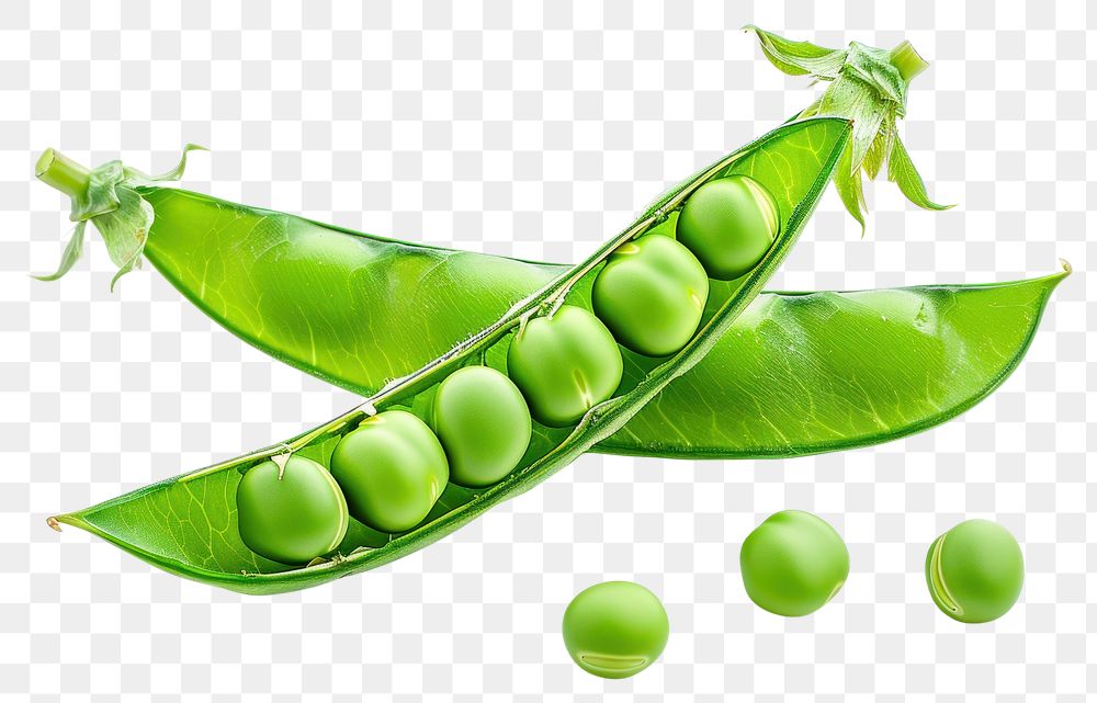 PNG Fresh green pea vegetable plant food.