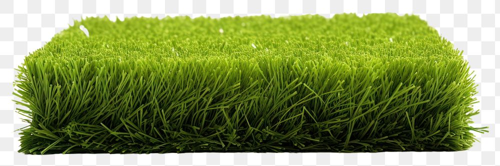 PNG Short fake grass plant lawn white background.