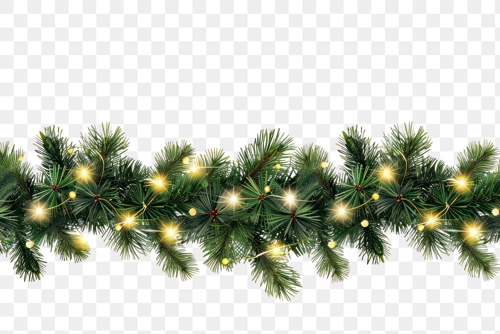 PNG Border with green fir christmas plant tree
