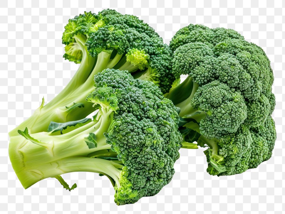 PNG Broccoli floret vegetable produce plant.