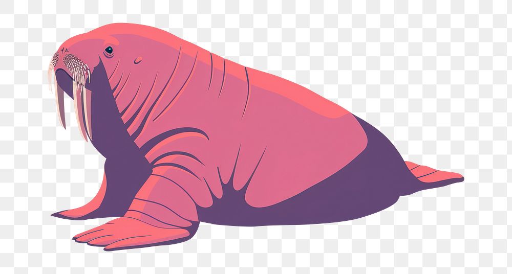 PNG Walrus walrus animal mammal.