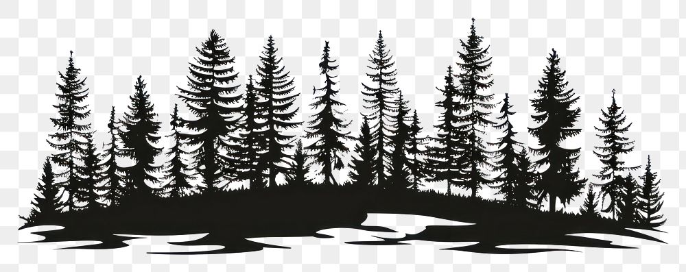 PNG Silhouette art illustrated conifer