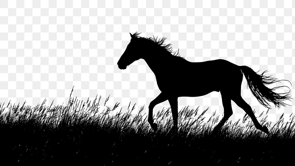 PNG A horse silhouette clip art animal mammal herbivorous