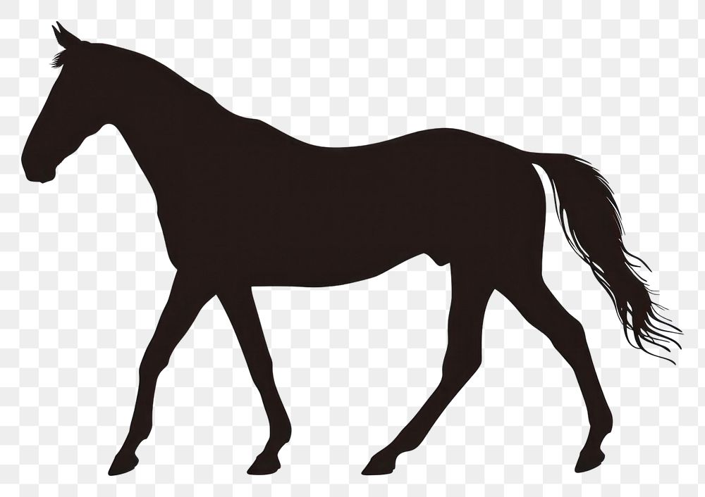 PNG A horse silhouette clip art animal mammal white background.