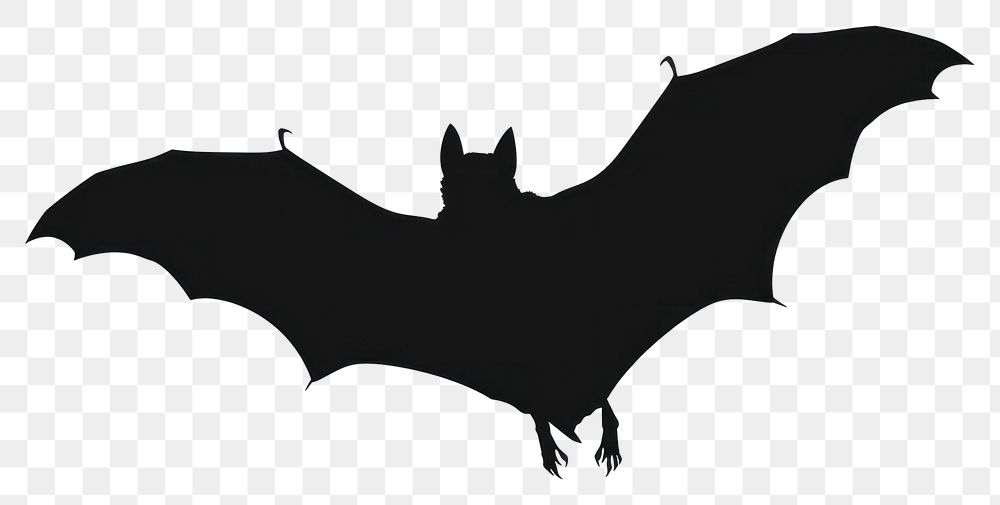PNG Bat silhouette clip art bat logo monochrome.