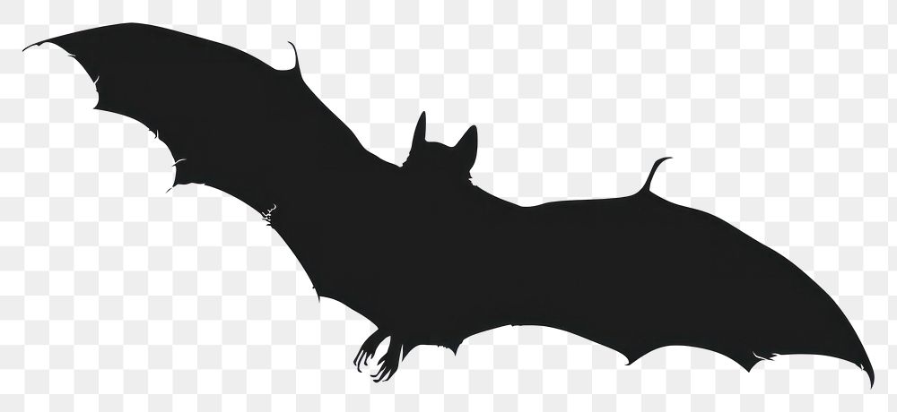 PNG Bat silhouette clip art bat animal monochrome.