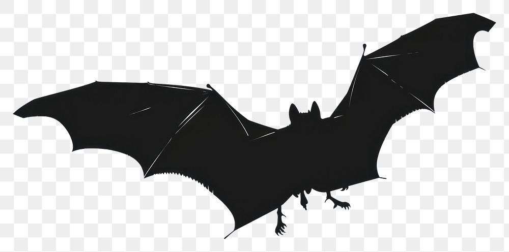 PNG Bat silhouette clip art bat white background monochrome.