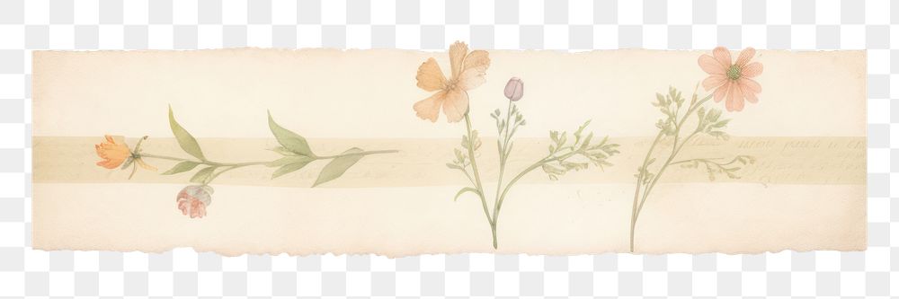 PNG Botanical flowers graphics painting pattern.