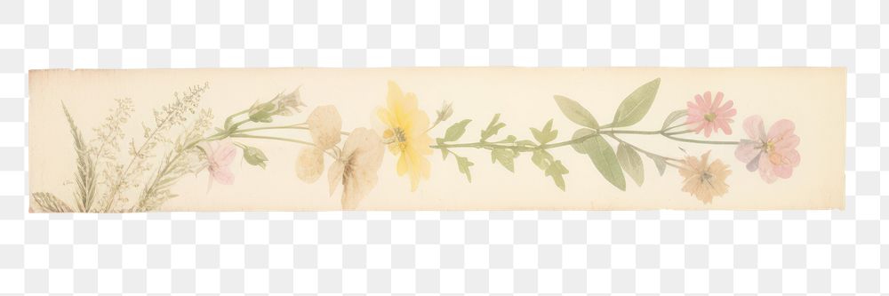 PNG Botanical flowers graphics painting envelope