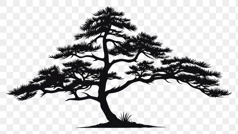 PNG Pine tree silhouette art illustrated.