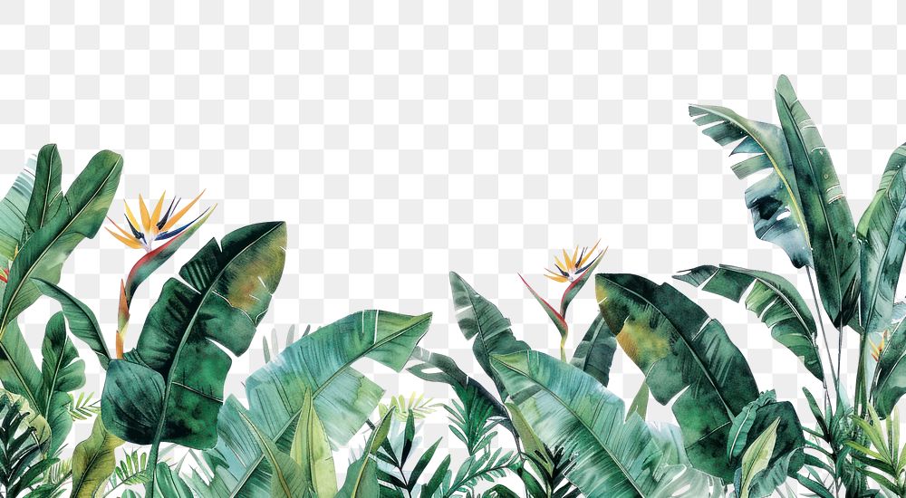 PNG Tropical botanical landscape border of black panther jungle flower banana