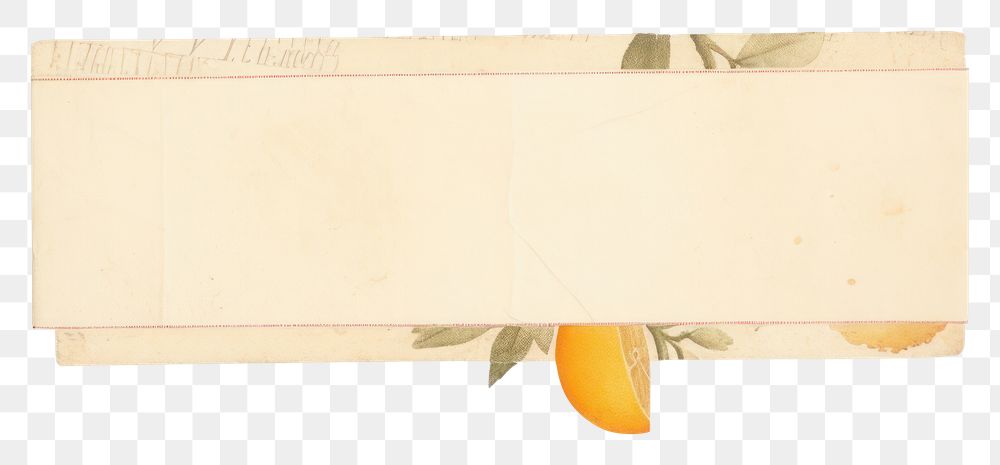 PNG Orange plant paper white background.