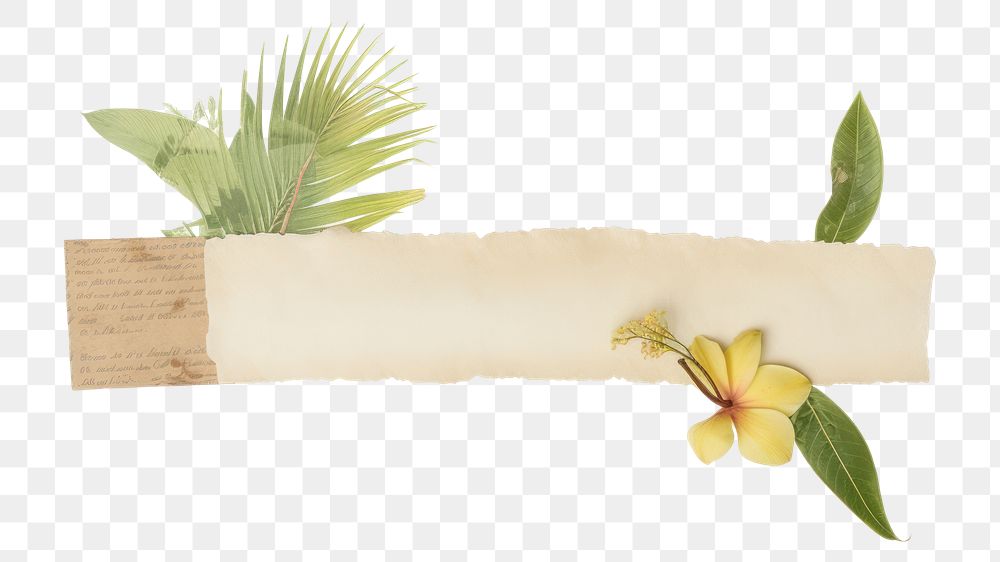 PNG Tropical flower plant paper.