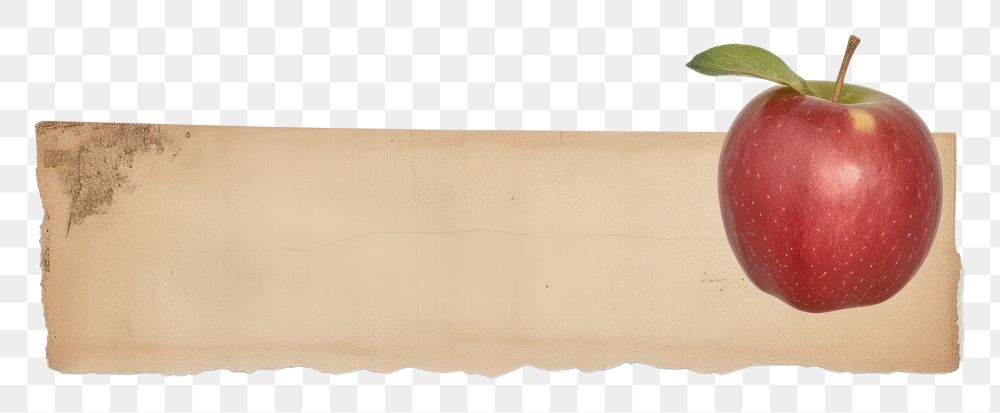 PNG Apple fruit plant paper.