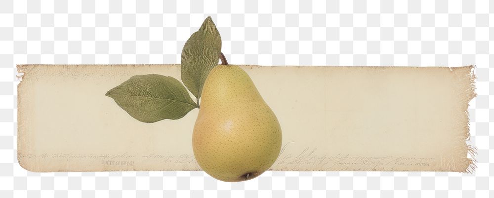 PNG Pear fruit plant paper food.