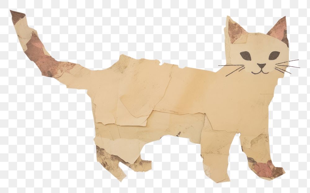 PNG Cat shape ripped paper animal mammal pet.