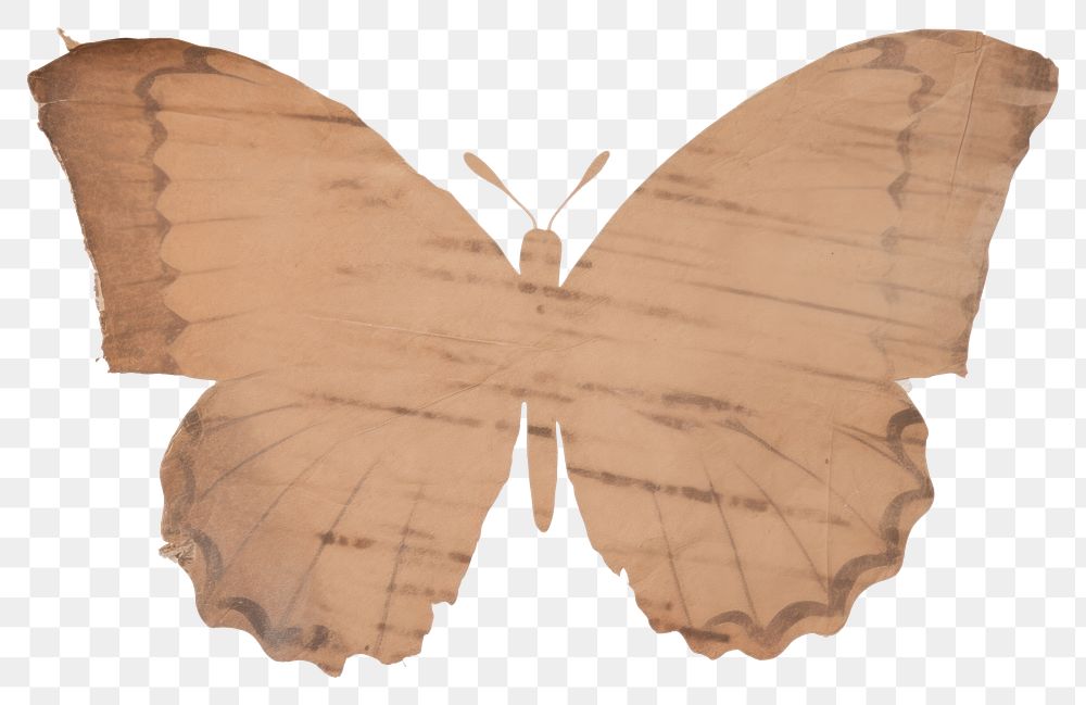 PNG Butterfly shape ripped paper insect animal moth.