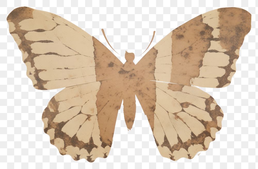 PNG Butterfly shape ripped paper insect animal moth.
