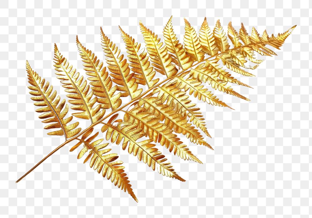 Fern leaf gold invertebrate accessories.