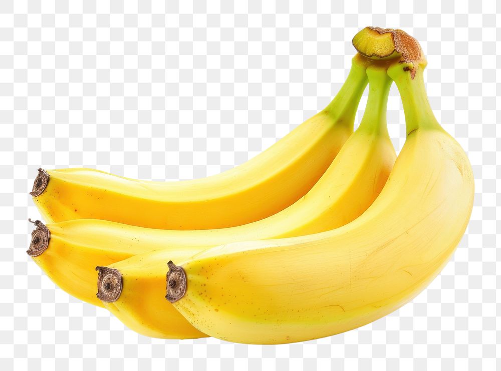 Bananas produce fruit plant