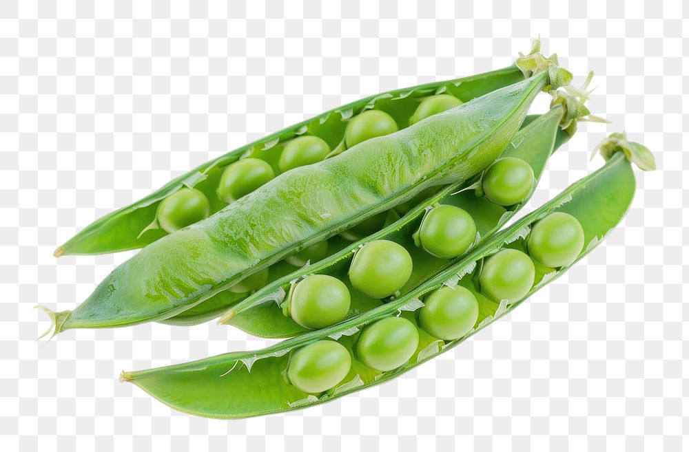 PNG Green peas invertebrate vegetable produce