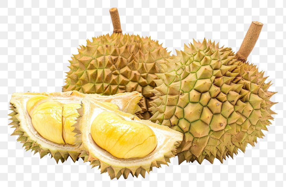 PNG Photo of durian pineapple produce fruit.