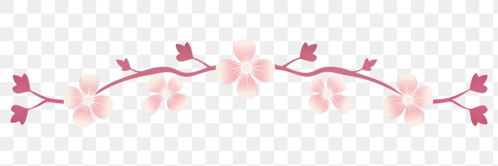 PNG  Cherry blossom divider ornament flower petal plant.