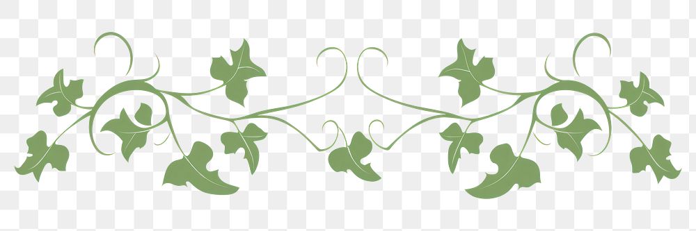 PNG  Ivy divider ornament pattern white background creativity.