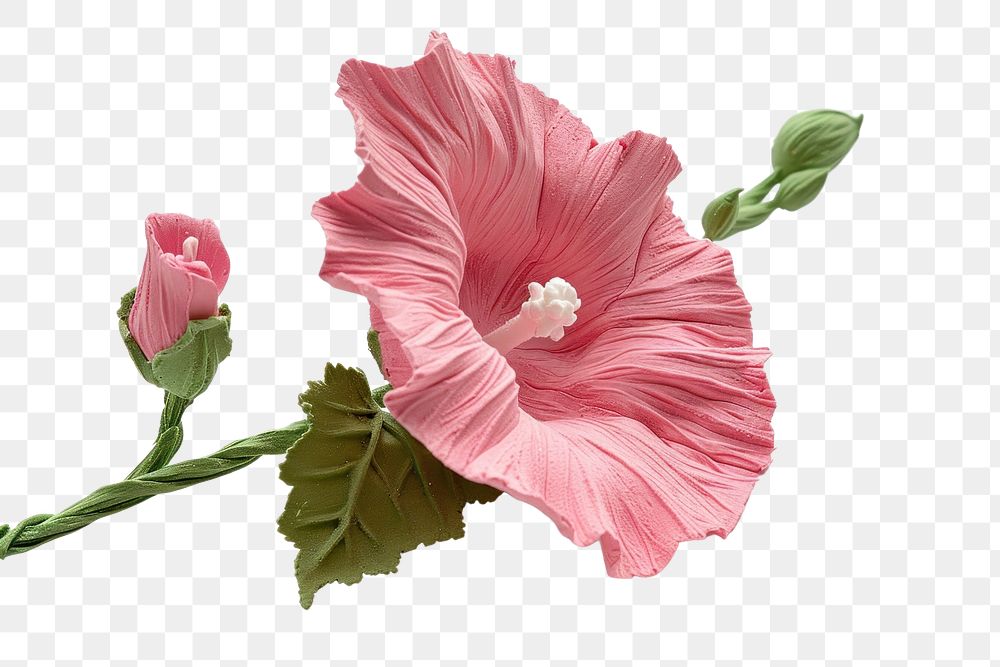 PNG Cute Plasticine clay 3d of a hollyhock flower hibiscus clothing blossom.