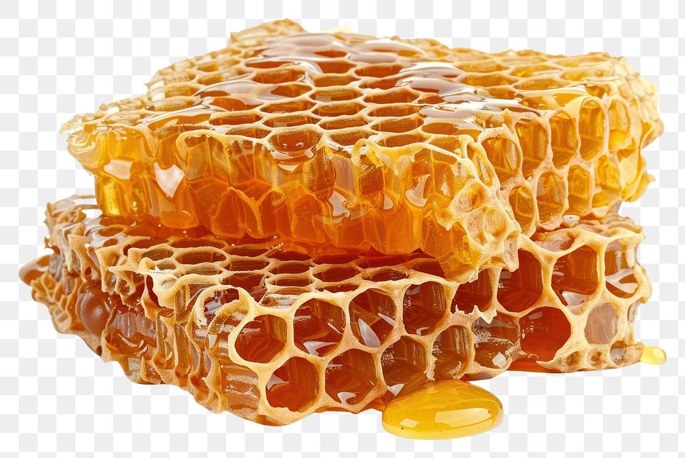 PNG Honeycomb with honey honeycomb dessert cream