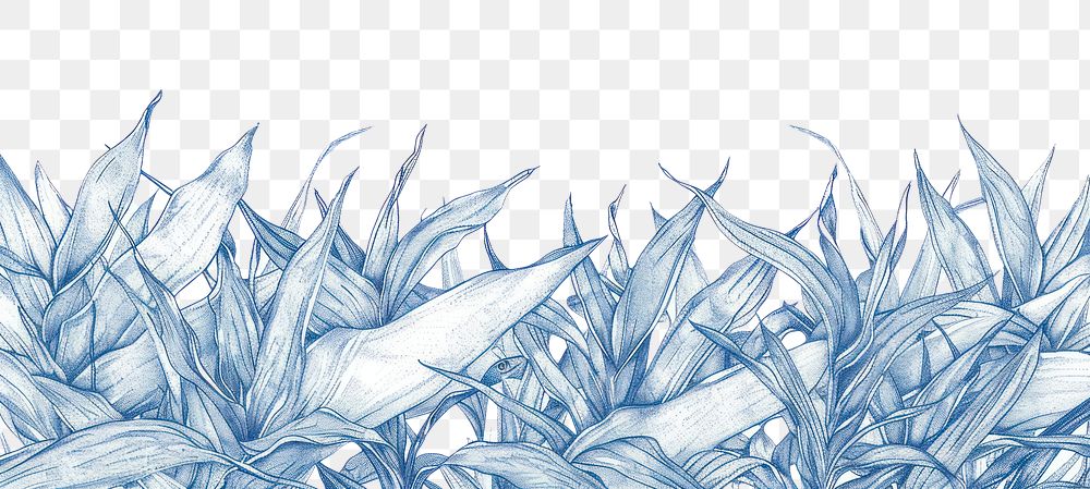 PNG Vintage drawing snake plants outdoors pattern nature.