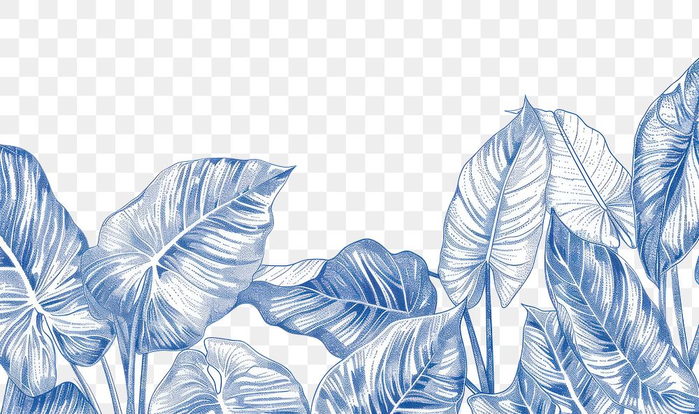 PNG Vintage drawing philodendrons pattern nature sketch.