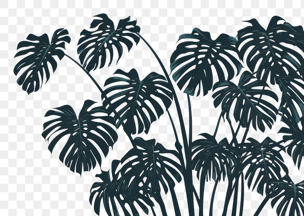 PNG Tropical plant silhouette clip art backgrounds leaf tree.