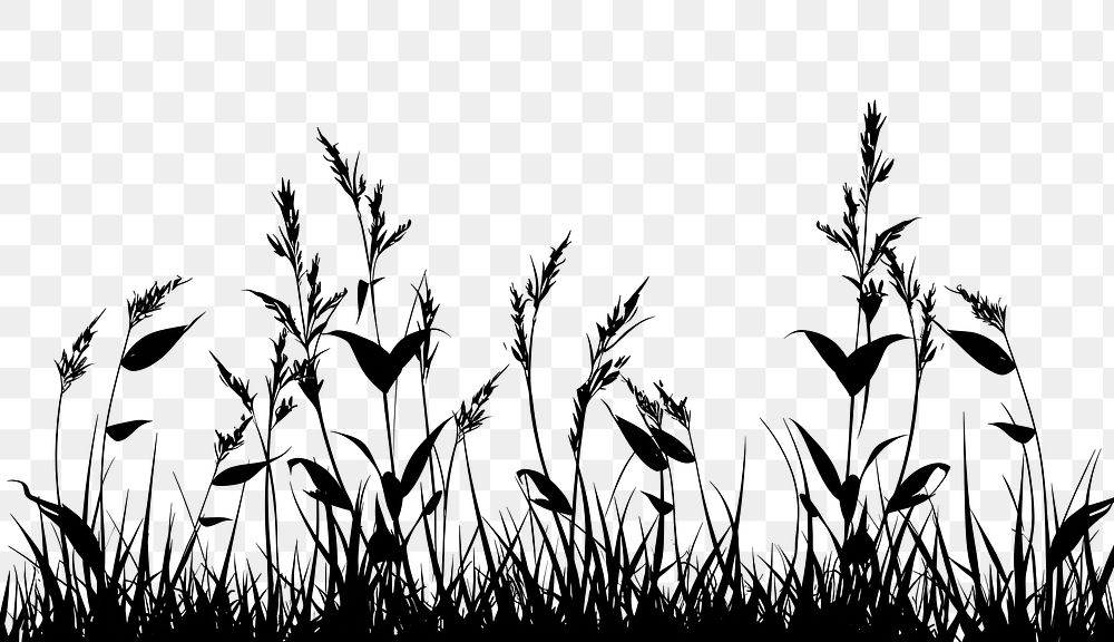 PNG Grass border silhouette clip art plant tranquility monochrome.
