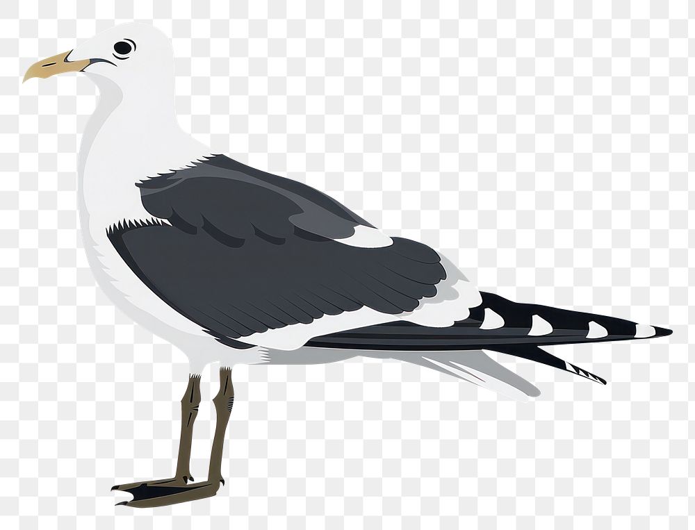 PNG Seagull bird silhouette clip art animal beak white background.