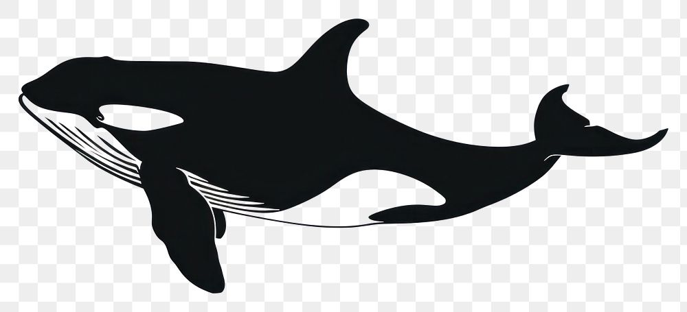 PNG Killer whale silhouette stencil animal mammal.