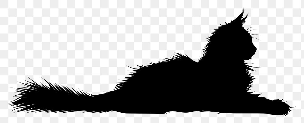 PNG Maincoon cat silhouette clip art animal mammal black.