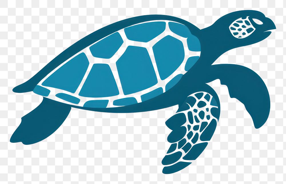 PNG Sea turtle tortoise reptile animal.
