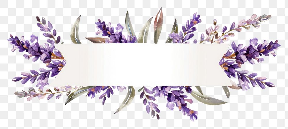 PNG  Ribbon lavenders leaves banner weaponry blossom flower.