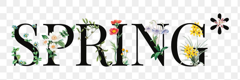 Spring word png floral digital art illustration, transparent background