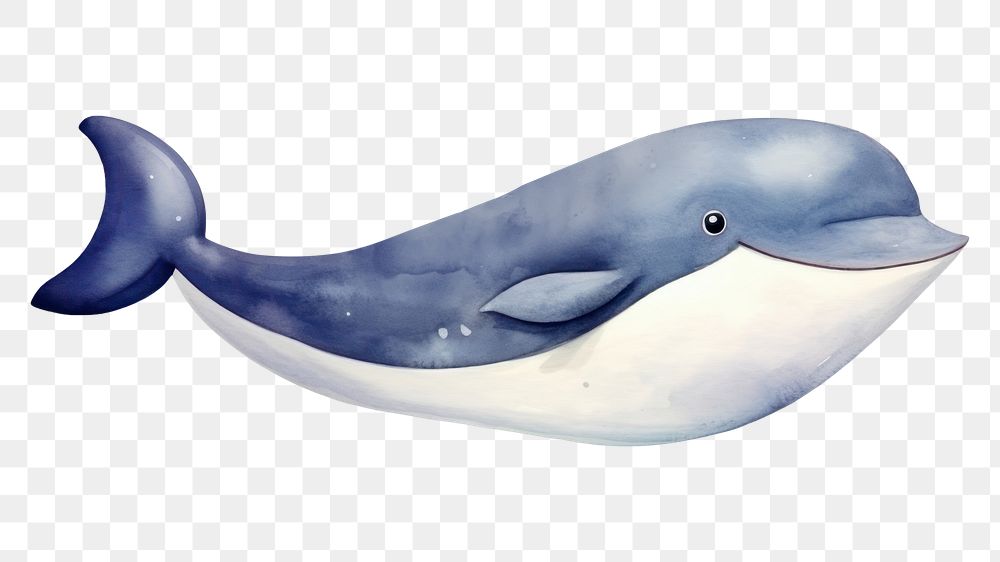 PNG whale, watercolor animal character, transparent background