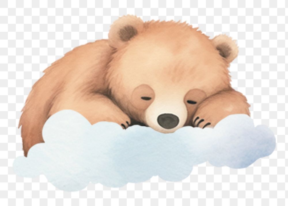 PNG sleeping bear, watercolor animal character, transparent background