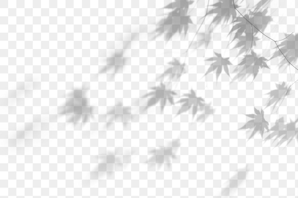 Tree shadow png overlay effect, transparent background