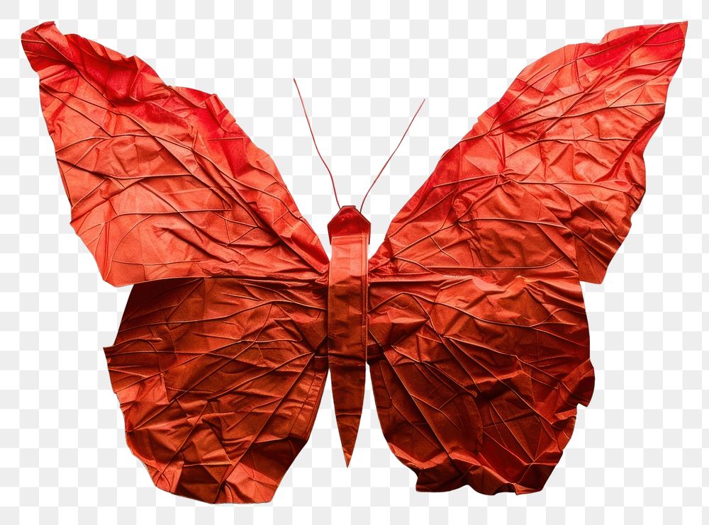 PNG Butterfly in style of crumpled paper clothing apparel.