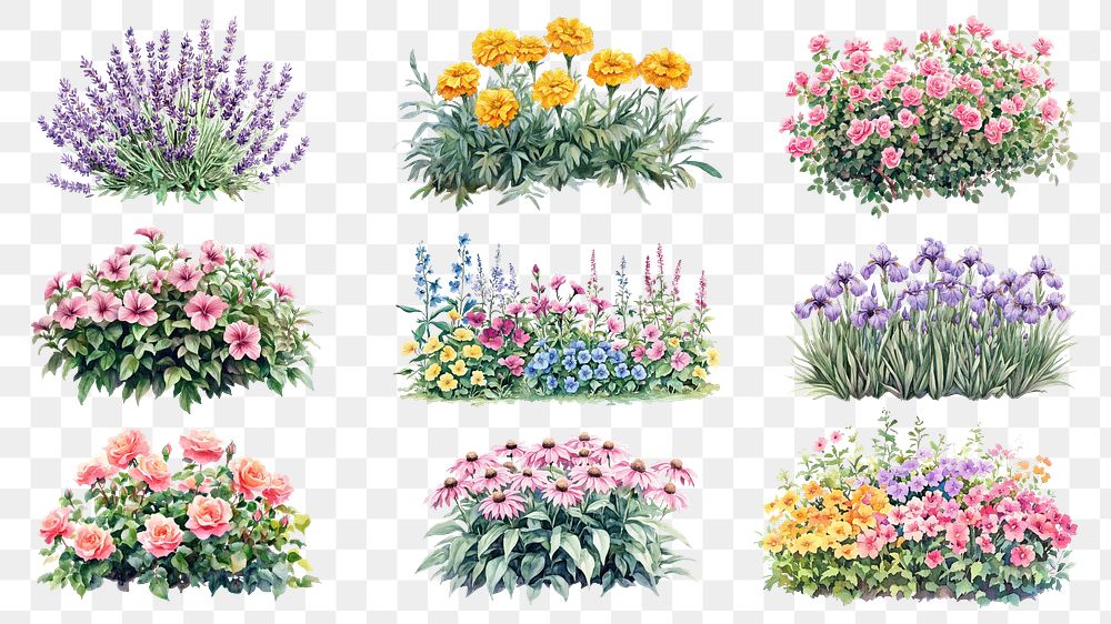 PNG flower garden  element set, transparent background