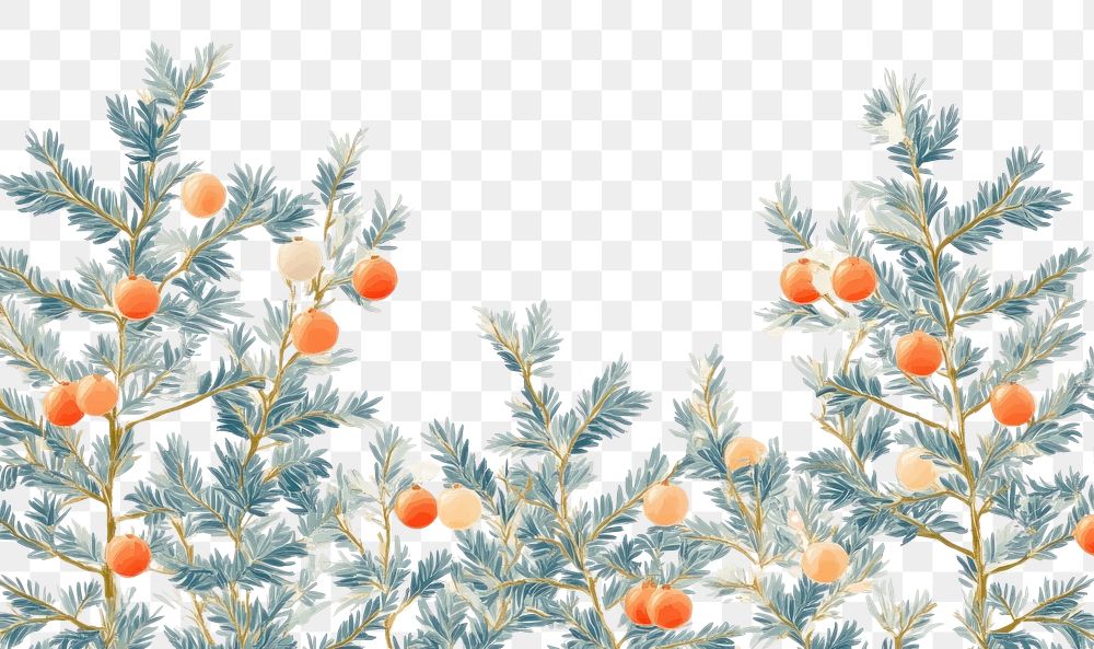 PNG Christmas nature illustration decorative.