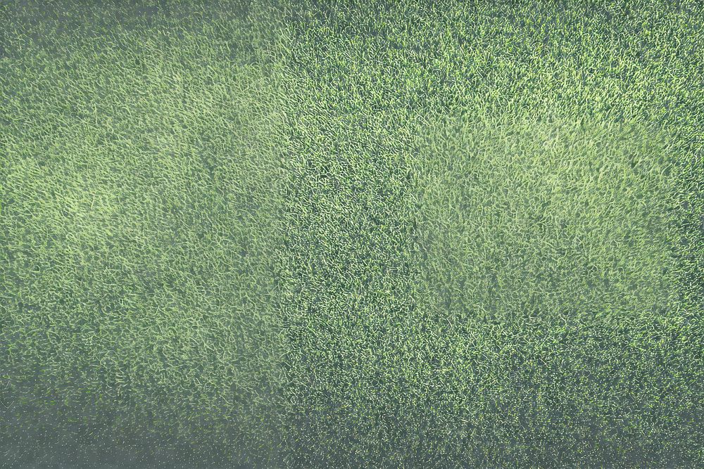 PNG Green grass texture background green nature vegetation.