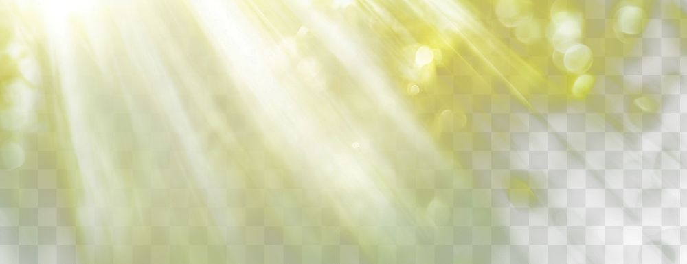 PNG White and light amber colors muted light green background sunlight soft.